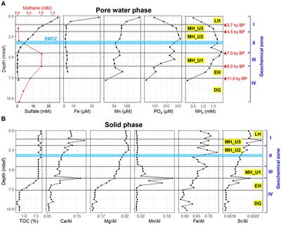 Influence of sedimentary deposition on the microbial assembly process in Arctic Holocene marine sediments